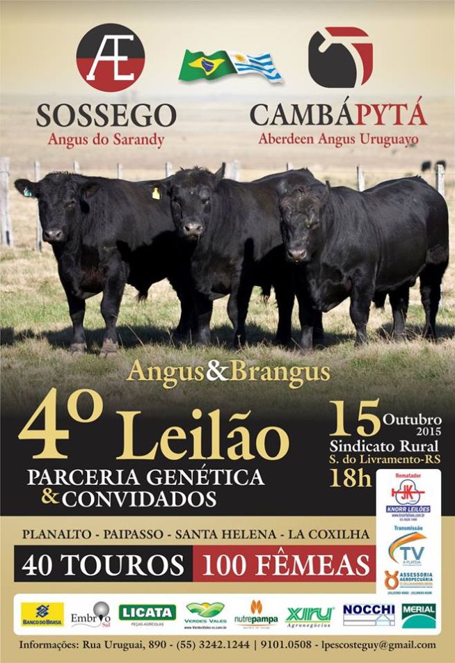 4º Leilão Sossego & Cambá Pytá: Parceria genética Brasil-Uruguai em Livramento