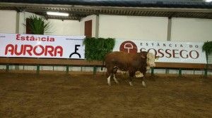 Aurora e Sossego alcançam R$ 1,42 milhão em Uruguaiana