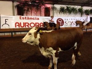 Aurora e Sossego alcançam R$ 1,42 milhão em Uruguaiana
