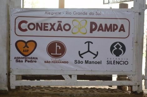 Remate Conexão Pampa atinge R$ 2 milhões