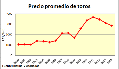 Safra de Touros no Uruguai - Fechamento 2015