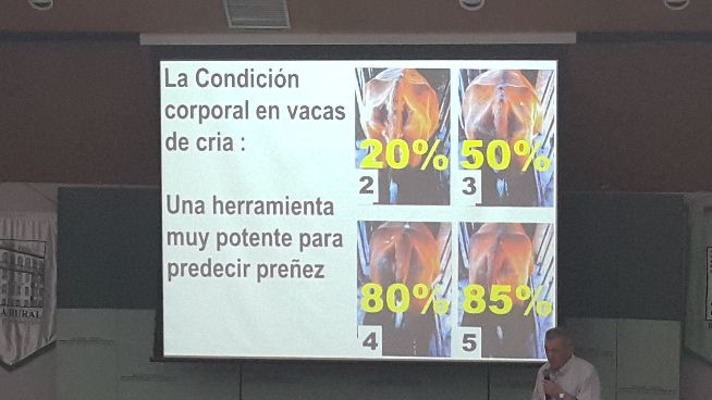 Jornada Técnica Angus - Prof. Alvaro Simenoe (Uruguai)