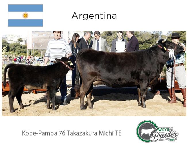 SILVER: Argentina - Kobe Pampa 76 Takazakura Michi TE