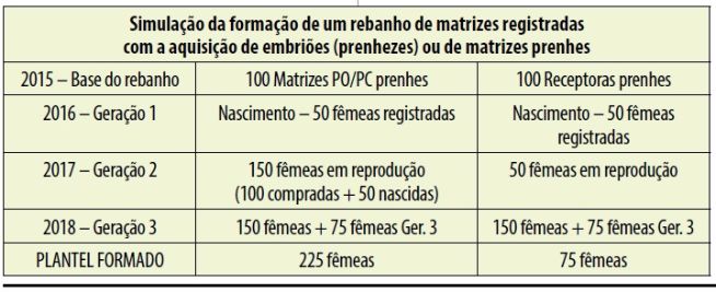 Simulação da formação de um rebanho via TE ou aquisição de matrizes