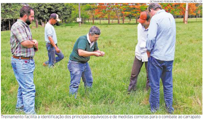 Alerta no combate ao carrapato (Correio do Povo, 10 Jan 2016)