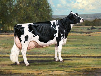 TRUE TYPE – MODELO IDEAL DE VACA
