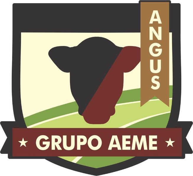 Grupo AEME: missão italiana visitou fazendas de gado de corte em Água Doce (SC)