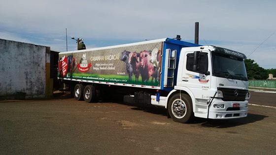 12º Leilão Genética Vacacaí vende Angus na Expogrande