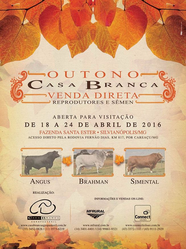 Outono Casa Branca - Venda Direta