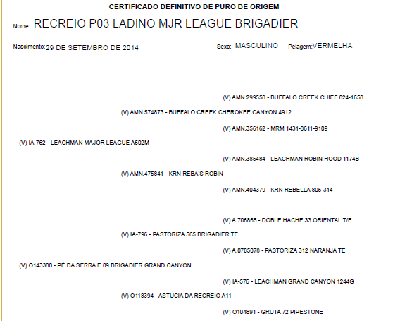 Recreio P03 Ladino Major League Brigadier