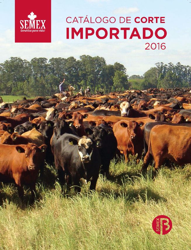 Semex Brasil lança Catálogos de Corte Europeu 2016