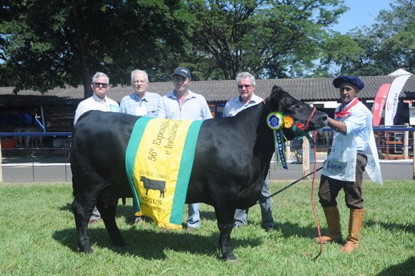 Grande Campeã Londrina 2016 - Reconquista TE2225 Uma Lookout Quebracho