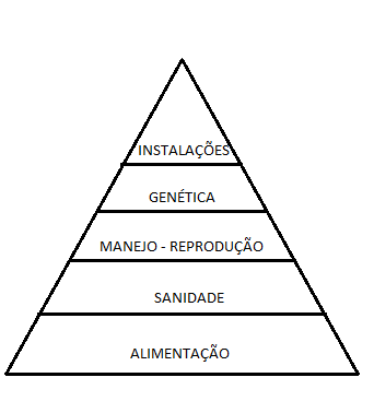 (grafico1. - GOTTSCHALL, C. S.)