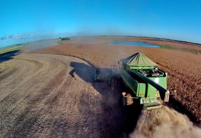 Soja semeia novas cores nos campos e na economia da Metade Sul