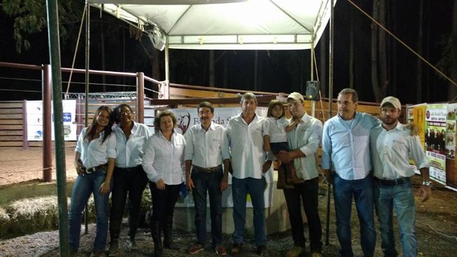 Leilão Braford Tropical comercializa em Brasília 53 touros e 30 fêmeas