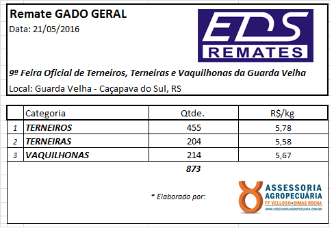 EDS Remates: Pista limpa na Feira da Guarda Velha