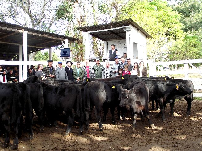 EDS Remates: Pista limpa na Feira da Guarda Velha