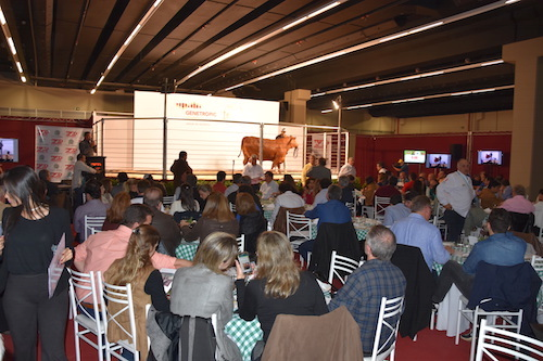 BeefExpo 2016 & Congresso Internacional de Pecuária de Corte