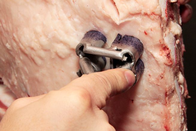Carne Swift Black conquista prêmio internacional iTQi