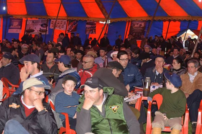 Desfile de Touros ALTA/PROGEN 2016