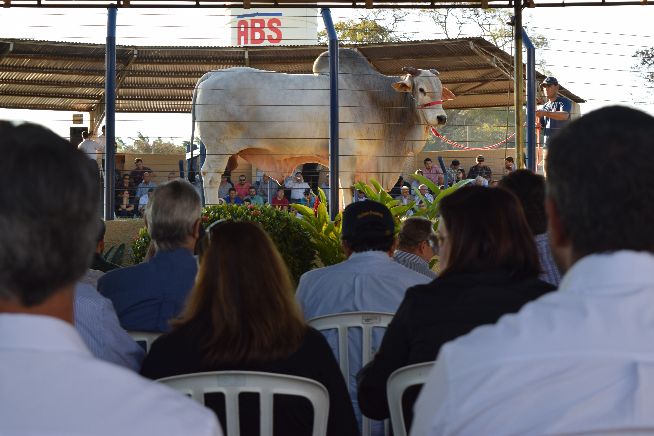 Desfile de Touros - ABS 2016
