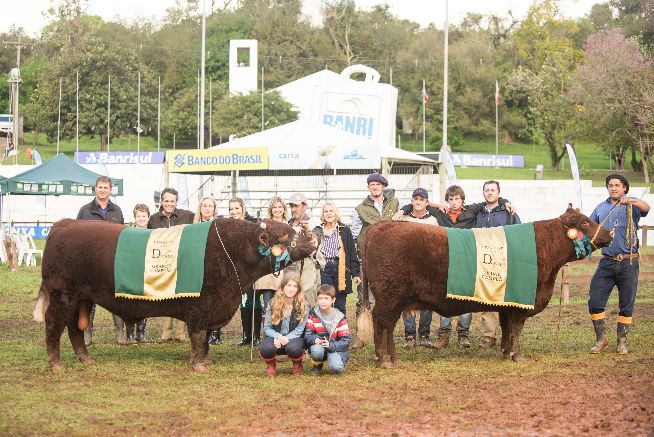 Devon elege seus campeões de argola na Expointer 2016