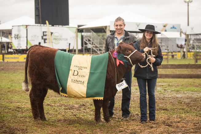 Devon elege seus campeões de argola na Expointer 2016
