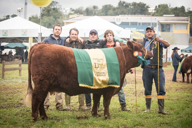 Devon elege seus campeões de argola na Expointer 2016
