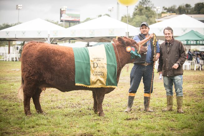 Devon elege seus campeões de argola na Expointer 2016