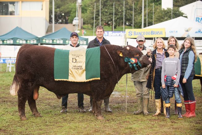 Devon elege seus campeões de argola na Expointer 2016