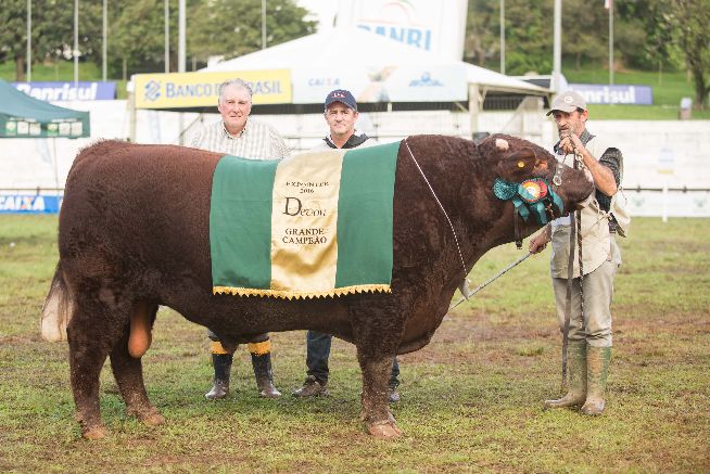 Devon elege seus campeões de argola na Expointer 2016