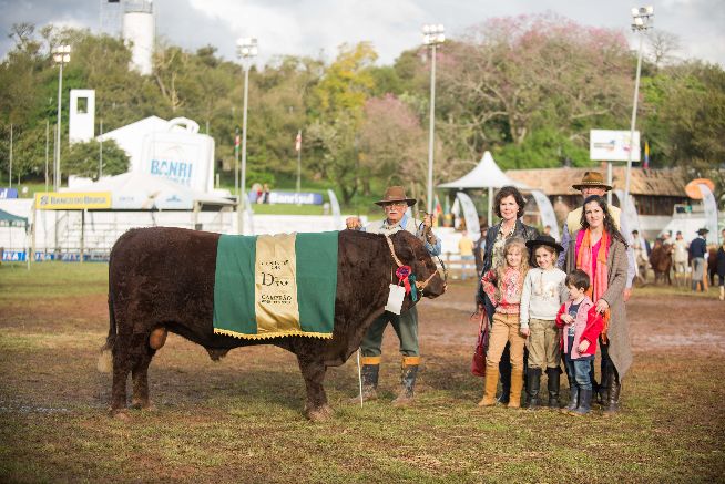 Devon elege seus campeões de argola na Expointer 2016