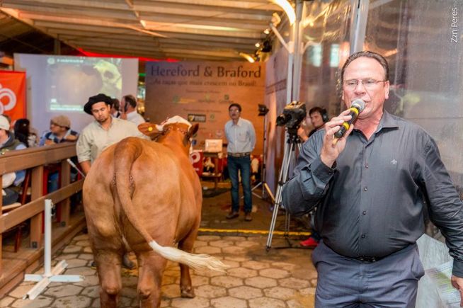 Leilões HB faturam mais de meio milhão na Expointer