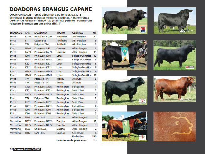 Catálogo São João - VI Venda Anual de Produção - 2016