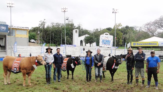 Bovinos Wagyu de Alegrete brilham na Expointer 2016