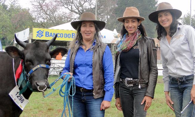 Bovinos Wagyu de Alegrete brilham na Expointer 2016