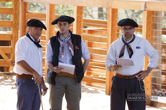 Julgamento de Rústicos Angus - FEAPEC
