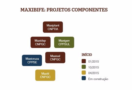 Maxbife: Projetos Componentes (Gráfico). Foto: Divulgação, 2016.