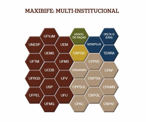 Maxbife: Multi-institucional (Gráfico). Foto: Divulgação, 2016.