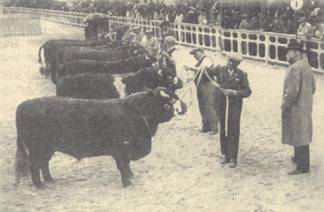 Exposição de Palermo Séc XIX