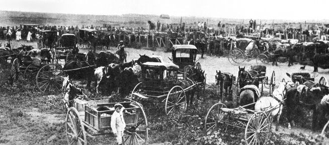 Junín Remate de Ganado 1914