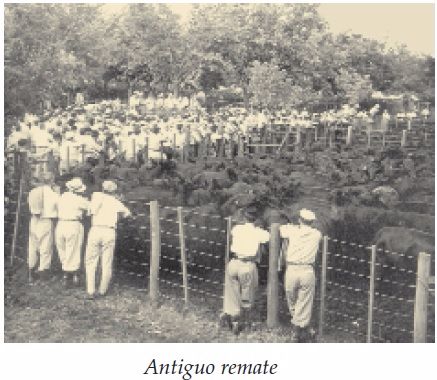 Remate Antigo Argentina