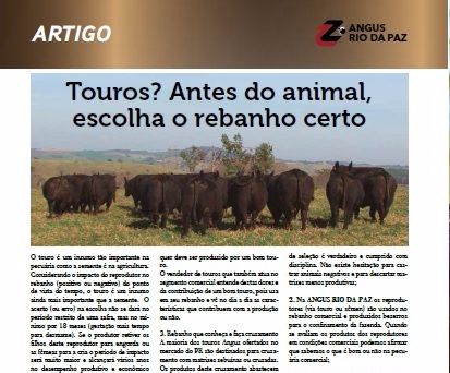 Touros? Antes do animal escolha o rebanho certo