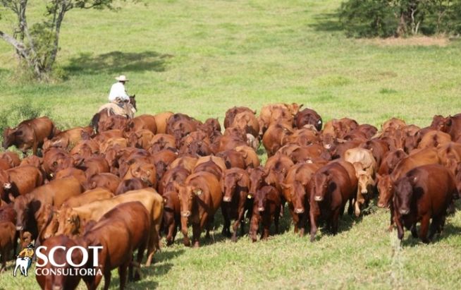 Fazenda Santa Silvéria