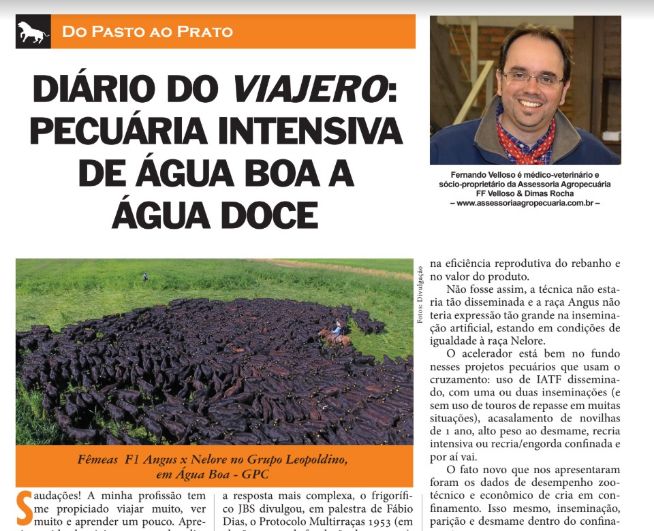 Diário do Viajeiro: Pecuária intensiva de Água Boa a Água Doce