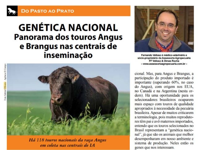 Genética Nacional: Panorama dos touros Angus e Brangus nas centrais de inseminação