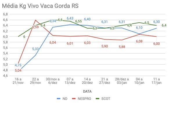 Média Kg Vivo Vaca Gorda - RS
