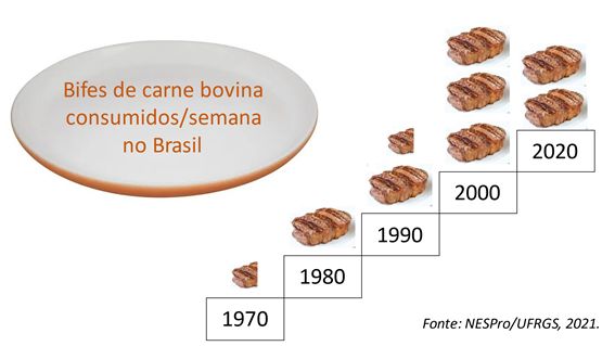 Bifes de carne bovina consumidos/semana no Brasil