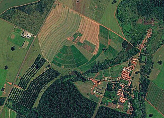 A recuperação de pastagens e a intensificação da produção de bovinos em áreas degradadas melhoram o sequestro de carbono (Foto: Embrapa)
