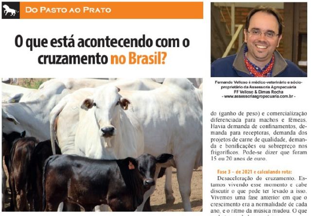 O que está acontecendo com o cruzamento no Brasil?